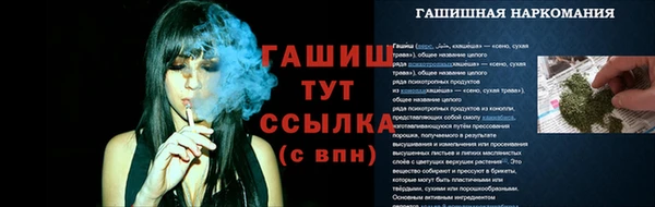 МДПВ Заводоуковск