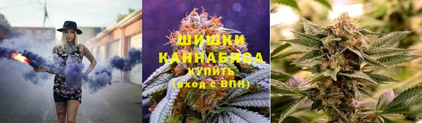МДПВ Заводоуковск