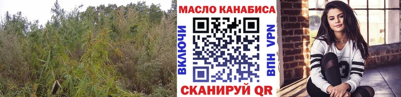 Купить где  Куртамыш  Дистиллят ТГК Wax 