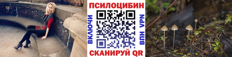 Псилоцибиновые грибы MAGIC MUSHROOMS  Купить закладки  Куртамыш 